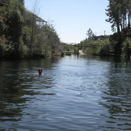 Quinta Da Eira Proença-a-Nova